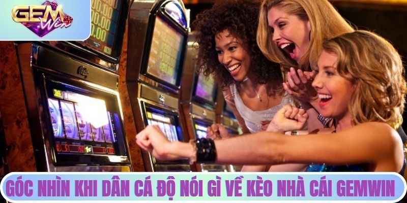 Dân Cá Độ Nói Gì Về Kèo Nhà Cái Gemwin - Giải Đáp Chi Tiết Góc nhìn thực tế khi dân cá độ nói gì về kèo nhà cái Gemwin